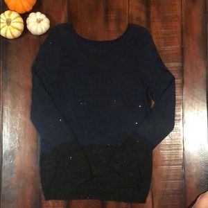 Loft sparkle sweater